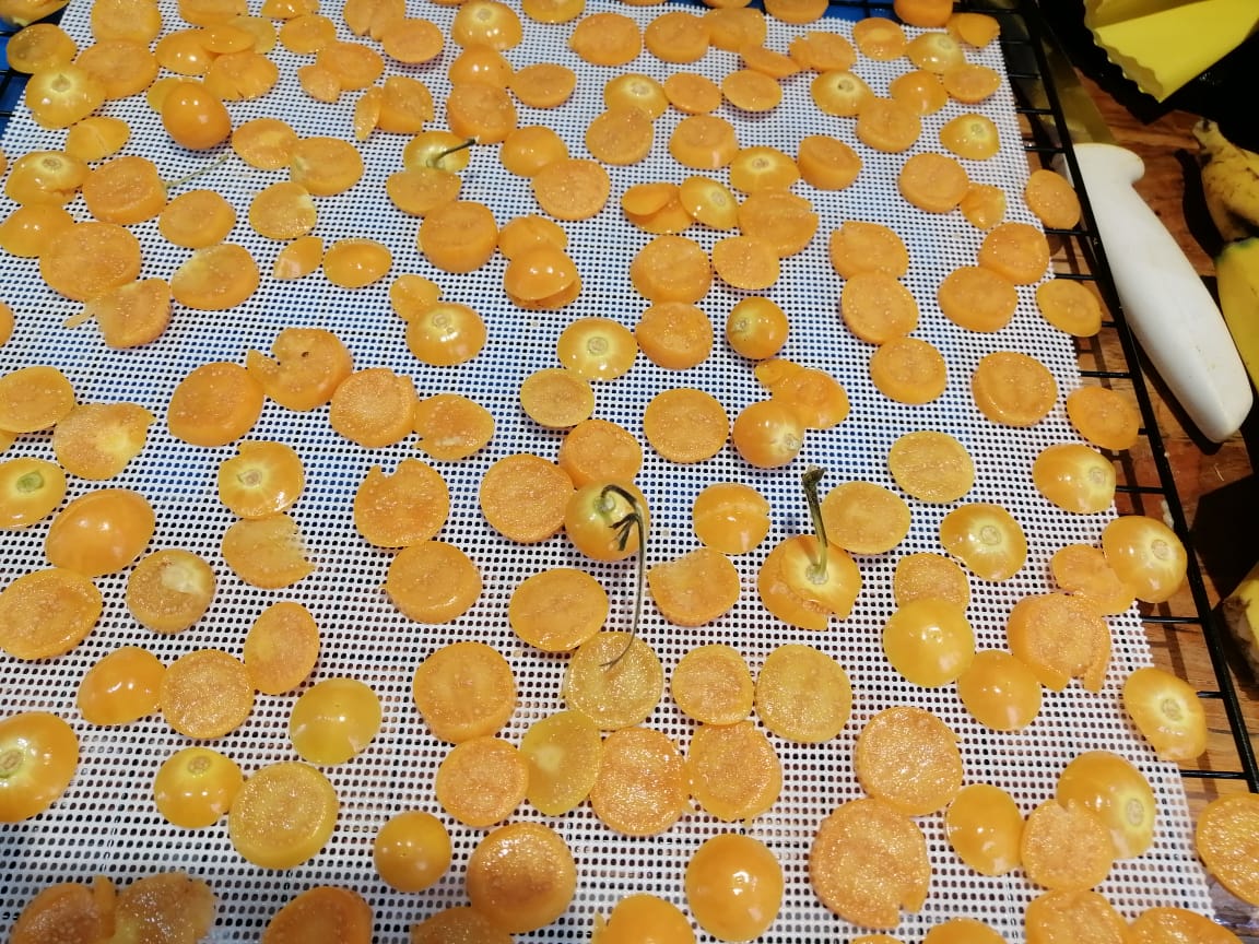 Fruta deshidratada Dorado División